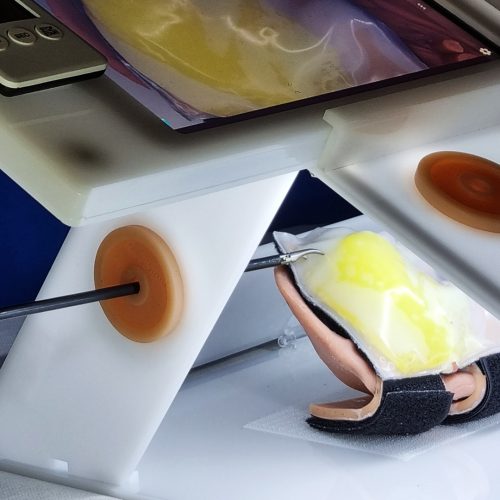 specifically designed to address these needs. It provides a realistic anatomy and tactile feedback